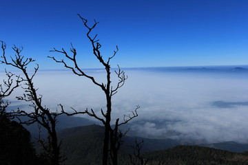Kew Mae Pan Nature Study Trail on Doi Inthanon National Park, Chiang Mai, Thailand