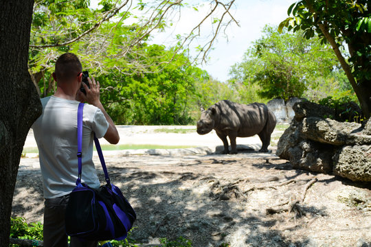 MIAMI, FL, USA - APRIL 29, 2018: Tourist is taking photo of rhino in Miami Zoo, Florida