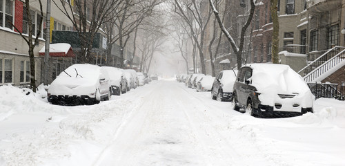 Central Park during middle of snowstorm with snow falling in New York City during Noreaster