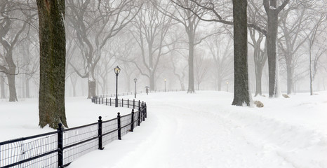 Central Park during middle of snowstorm with snow falling in New York City during Noreaster