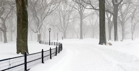 Foto op Canvas Central Park during middle of snowstorm with snow falling in New York City during Noreaster © nyker