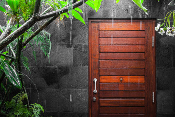 View at door through tropical rain