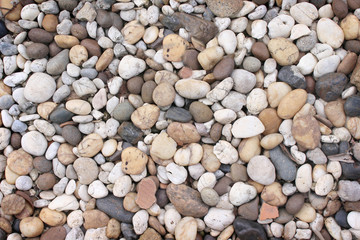 Top view multicolor pebble, rock or gravel pattern for background