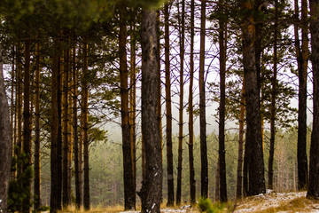 the nature of the southern Urals