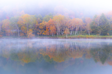 霧に包まれた秋の木戸池