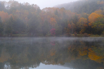 霧に包まれた秋の木戸池