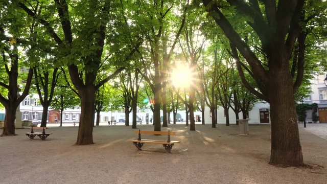 Sunburst Shining Through Trees in Urban Park