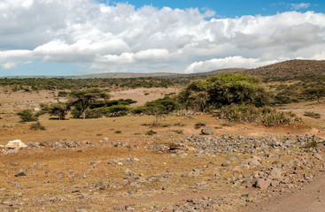 Fields in Tanzania on a sunny day