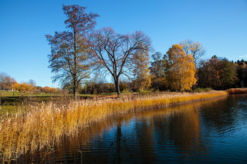 Autumn landscape with water and trees
