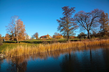 Fototapeta na wymiar Autumn landscape with water and trees