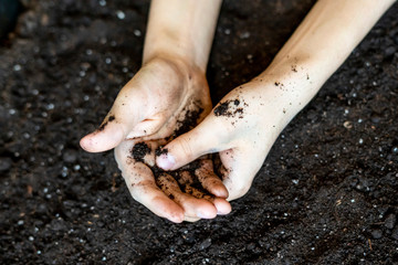 top view of two dirty farmers hands in the soil ground d