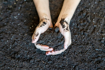 hands cup holding soil earth over the organic ground background f