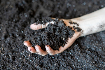 hands cup holding soil earth over the organic ground background f