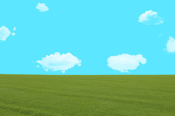 Obraz na płótnie Canvas 青空と雲と草原　コピースペース