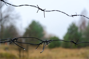 Barbed wire in exclusion zone of Chernobyl nuclear power plant, Ukraine