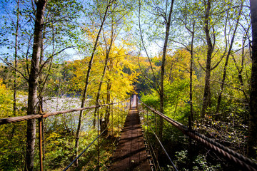 Narrow metal foot bridge across forest in autumn