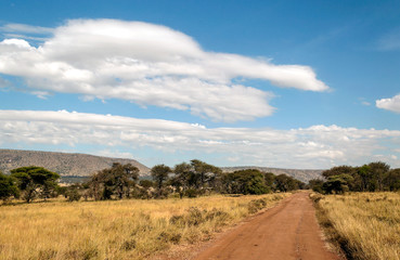 Fields in Tanzania on a sunny day