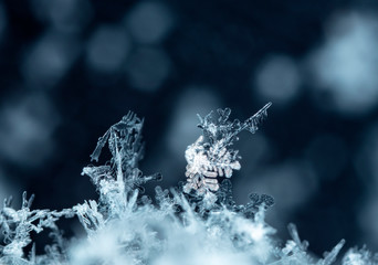 natural snowflakes on snow, winter