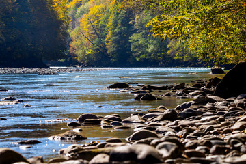 Fall landscape with mountain river and forest