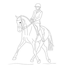 Equestrian sport. A sketch of a dressage rider on a horse executing the half pass.