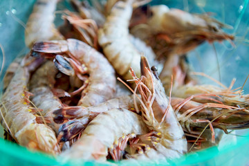 Fresh cold raw king prawn shrimps close-up, background, top view