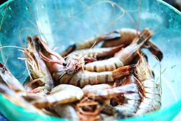 Fresh cold raw king prawn shrimps close-up, background, top view