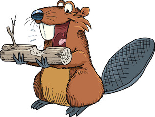 beaver with a piece of wood © Moriz