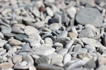 Shore