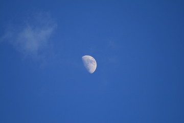Mond
