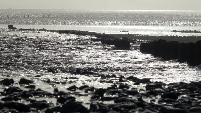 Wattenmeer, Buhne, Gezeiten