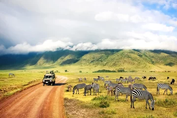  Wilde natuur van Afrika. Zebra& 39 s tegen bergen en wolken. Safari in Ngorongoro Crater National park. Tanzania. © delbars