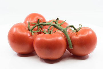 Five red truss tomatoes on vine
