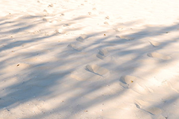 Traces of animals and people on the sand beach.
