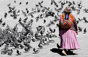 La Paz, Bolivia - local woman wearing traditional clothes between a lot of pigeons