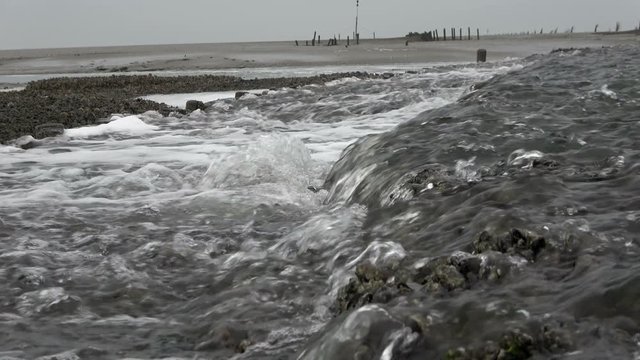 Wattenmeer, Buhne