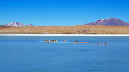 Beautiful lagoon in the mountains of andes in the Salar de Uyuni, Bolivia