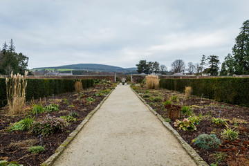 path through the garden on Powerscourt Estate
