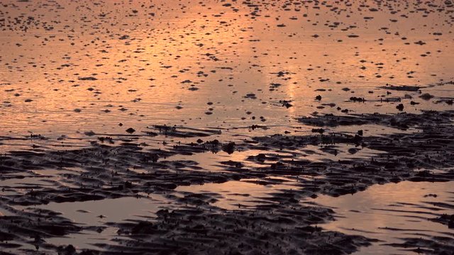 Wattenmeer, Flut, Gezeiten, Zeitraffer, Sonnenuntergang