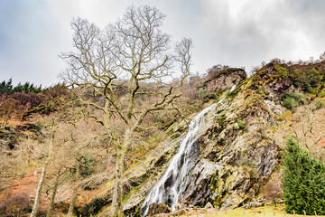 Powerscourt waterfall in forest