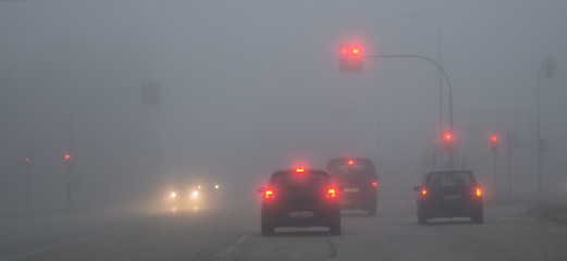 foggy road traffic lights  in the morning , winter season