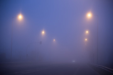foggy road traffic lights  in the morning , winter season
