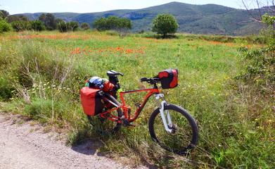 Obraz premium Camino de santiago in bicycle Saint James