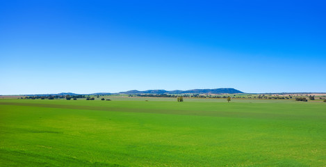 Spring meadow Camino de Santiago