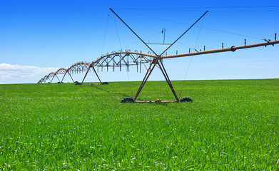 Irrigation at cereal field Castile La Mancha