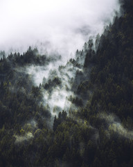 Panele Szklane Podświetlane  Mgła