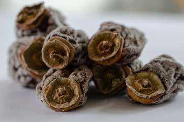 Dried persimmon on white background
