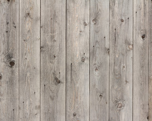 Fototapeta premium grey wooden fence,old wooden fence