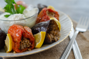 Turkish cuisine - DOLMA - Homemade  stuffed dried eggplant  and red pepper,