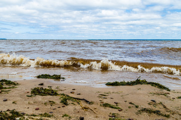 Bank of the Volga River in windy weather, muddy water