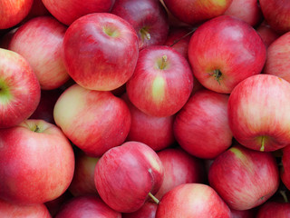 Red organic apple background